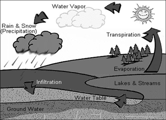 3: Schematic diagram of a 2011