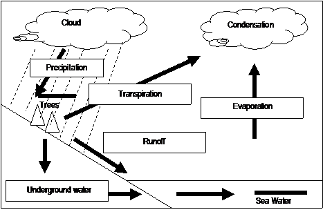 Printables Water Cycle Worksheet High School welcome to hvwshe worksheet 2