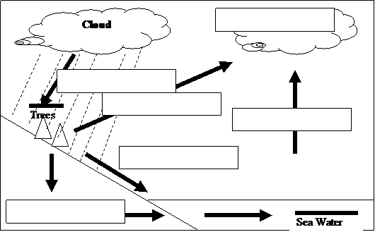 Printables Water Cycle Worksheet High School printables water cycle worksheet high school safarmediapps welcome to hvwshe 1